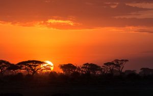 15 Days Uganda Highlights