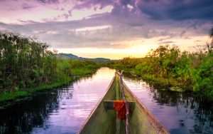 12 Days Uganda Walking Safari